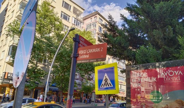 Fevzi Çakmak'ın hali ne?