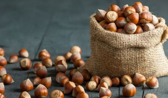 TZOB Başkanı Bayraktar’dan rekolte uyarısı
