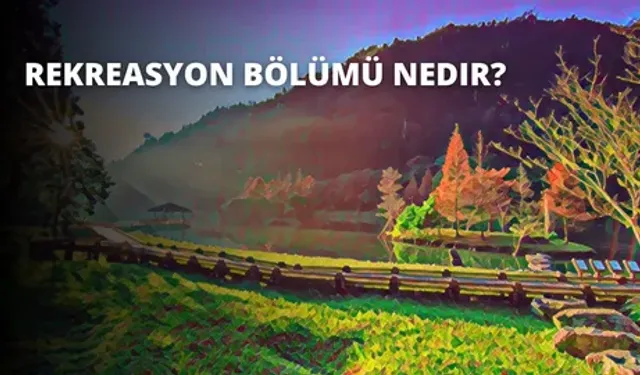 Rekreasyon bölümü nedir? Rekreasyon bölümü iş olanakları