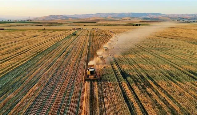 Köyüne dönen gence bedava arazi ve konut desteği geliyor