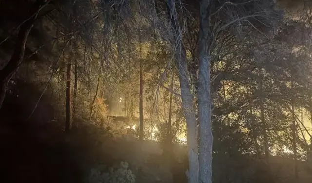 Orman yangınlarında hayatını kaybeden veya yaralananlarla ilgili yeni karar!