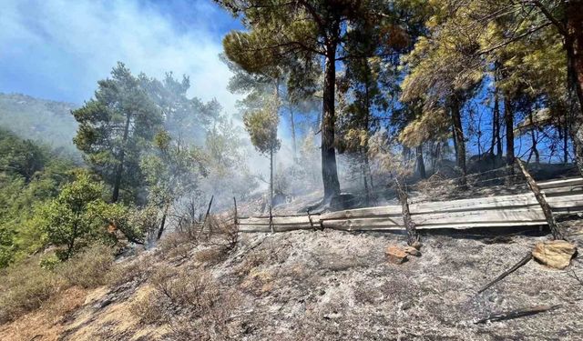 Adana Feke’de orman yangını: Havadan ve karadan müdahale sürüyor