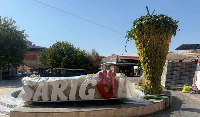 Manisa Sarıgöl’de 17. Sultani Üzüm Festivali’nde 650 kiloluk dev üzüm salkımı sergilendi