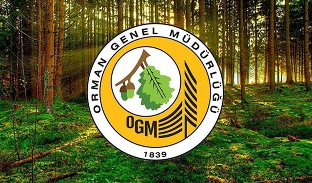 OGM personel alımı eylül: Orman Genel Müdürlüğü (OGM) daimi personel alımı ne zaman? Başvuru şartları neler?