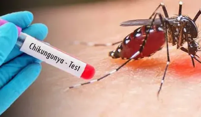 Çin’de Chikungunya alarmı! Vaka sayısı 1714’e ulaştı! Acil durum ilan edildi