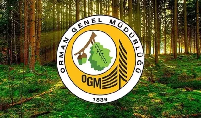 Orman Genel Müdürlüğü personel alımı ne zaman?  Lisans – ön lisans - ortaöğretim OGM başvuru şartları neler?