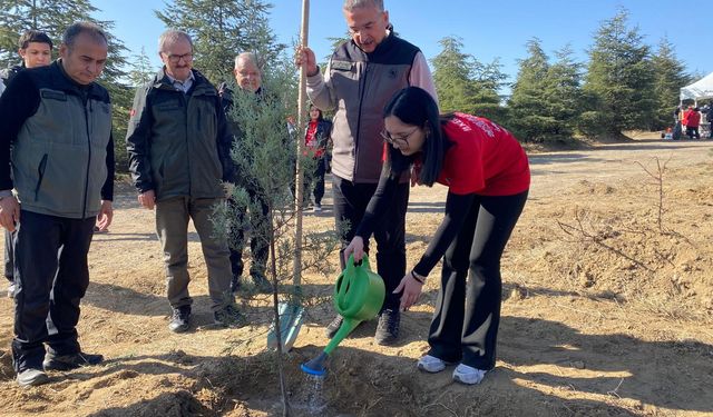 Ankara'da AKUT şehitleri için üç hatıra ormanına fidan dikildi!