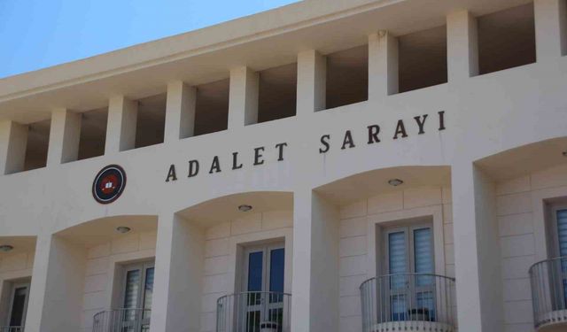 Bodrum’da yavru köpeklere tüfekle ateş eden şahıs tutuklandı