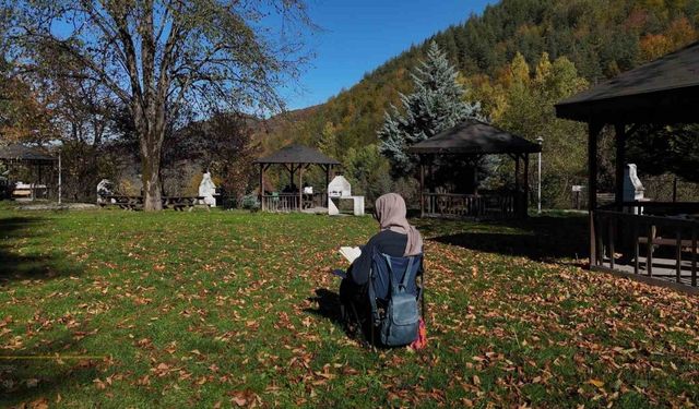 Sonbahar renkleriyle büyülüyor: Samandere Şelalesi doğaseverlerin gözdesi oldu