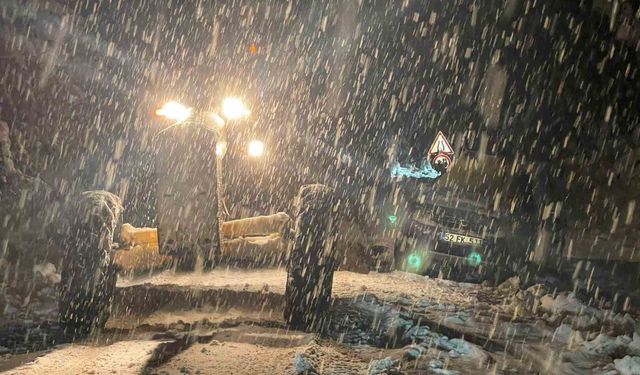 Ordu–Sivas yolu yoğun kar ve tipi nedeniyle ulaşıma kapandı