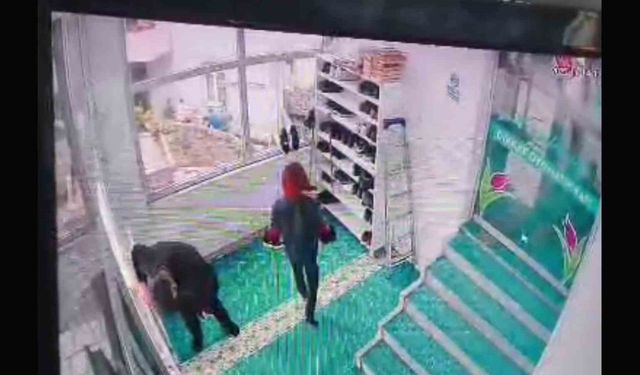 Ordu Ünye’de camide fenalaşan yaşlı adam saniyeler içinde yere yığıldı