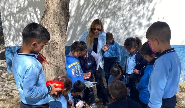 Köy Okulundan Türkiye’ye Örnek Proje: Öğrenciler Yeşil Vatan’a Katkı Sağlıyor