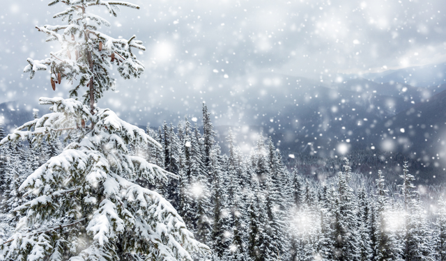 Van'da ne zaman kar yağacak? Van'da hava durumu nasıl?