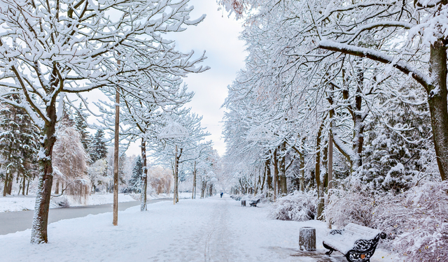 Beklenen haber geldi: İstanbul'da kar yaşığı için tarih verildi!