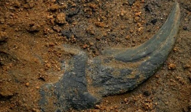 Kum feneri 29 Kasım’da Kült Sahne’de izleyiciyle buluşuyor