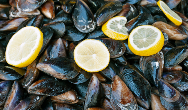 İstanbul'daki facianın ardından Başkentlilerin aklındaki soru... Ankara'da midye yenir mi?