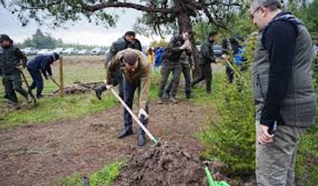 Türkiye’de rekor kırıldı: 15 milyon fidan toprakla buluştu!
