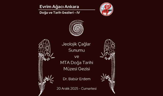 Jeolojik çağlara yolculuk: Evrim Ağacı Ankara’dan sunum ve müze gezisi