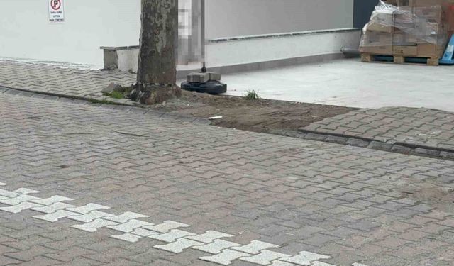 Çöpe atmak isterken servet buldu: kargo poşetinden 60 bin dolar çıktı