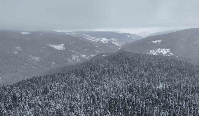 Ilgaz Dağı beyaza büründü! Kartpostallık manzara havadan görüntülendi