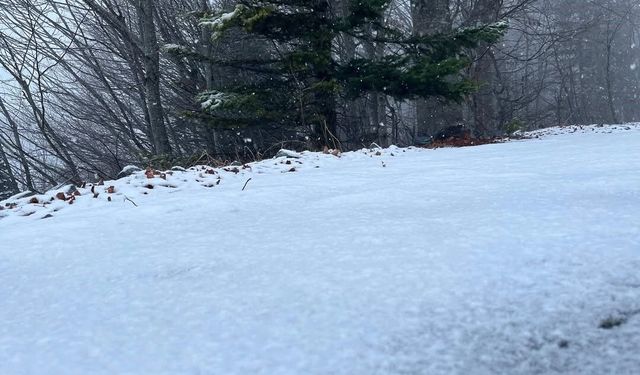 İstanbul’un dibinde kış geri döndü: Kartepe beyaza büründü