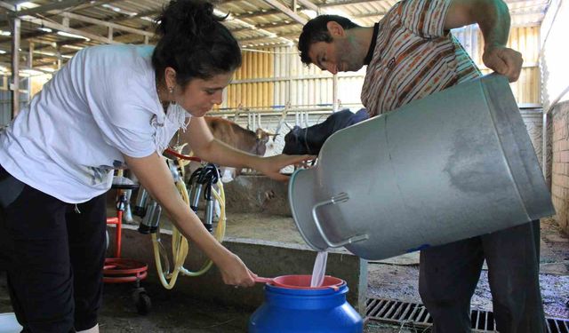 Şap hastalığı kırmızı ete ve süt üretimine darbe vurdu: Fiyat güncellemesi şart