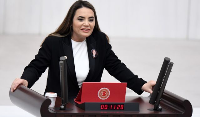 Ayyüce Türkeş'in sözleri meclisi karıştırdı: "Öcalan bir katil olarak geberecek"