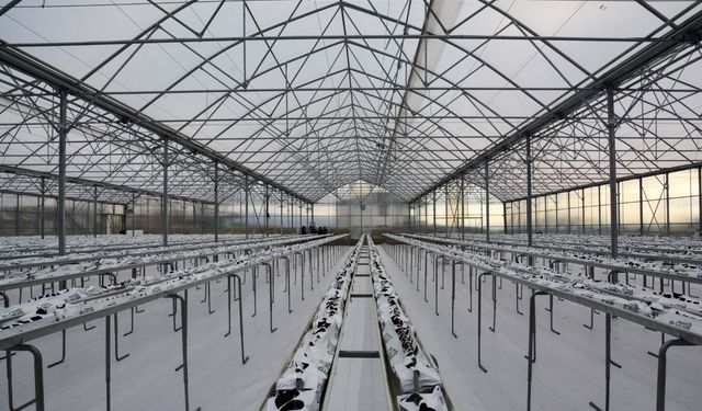 Kahramankazan’da modern tarım hamlesi! Termal sera ile verimli üretim başlıyor