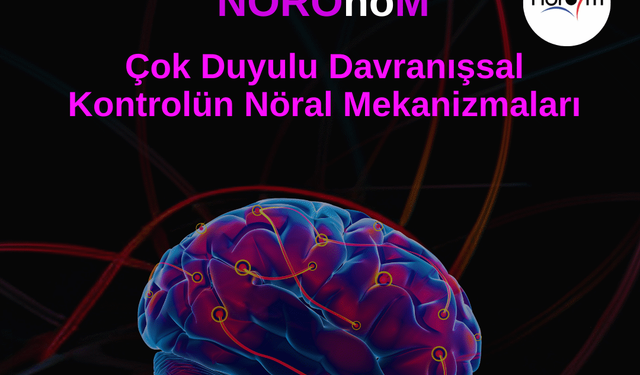 NÖROnoM semineri: Çok duyulu davranışsal kontrolün nöral mekanizmaları ele alınacak