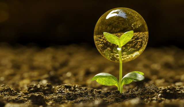 Ankara Yıldırım Beyazıt Üniversitesi Erasmus+ ile genç yeşil liderler yetiştirecek