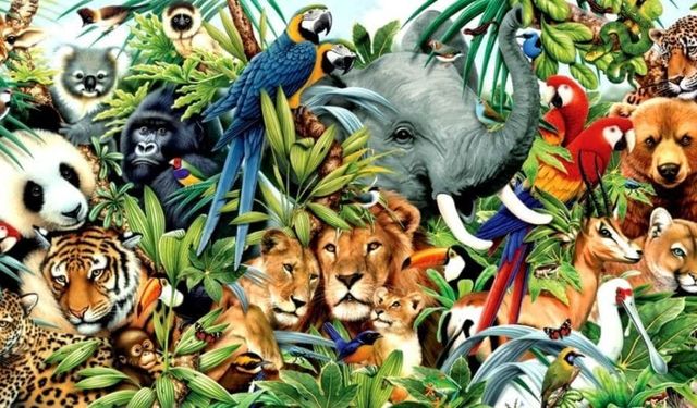 İlk yaratılan hayvan kimdir? İlk yaratılan hayvan hangisidir?