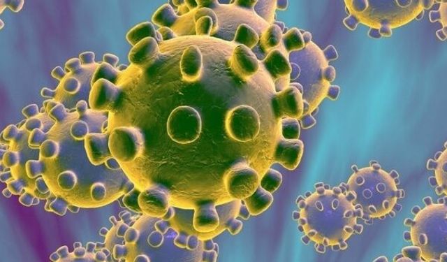 Nipah virüsü nedir? Nipah Virüsü Türkiye’de var mı?