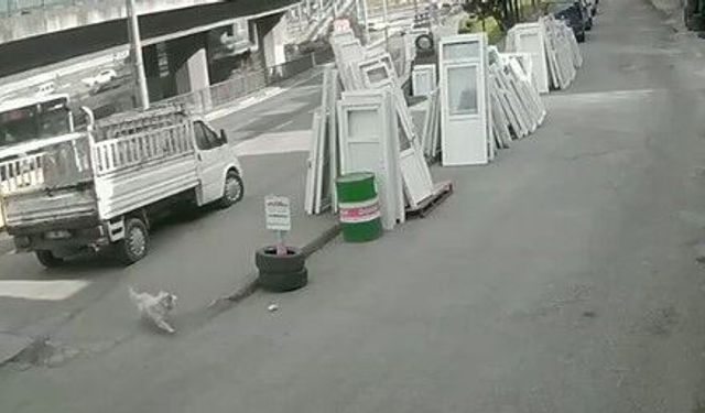 Köpekten kaçmaya çalışan öğrenciye belediye otobüsü çarptı!