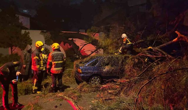 Aydın’da fırtına faciaya yol açtı: Cami bahçesindeki ağaç otomobilin üzerine devrildi, 2 yaralı