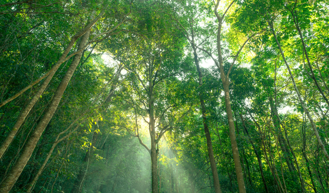 Karbon düzenlemeleri Türkiye'yi nasıl etkileyecek? ASBÜSEM'den kapsamlı eğitim