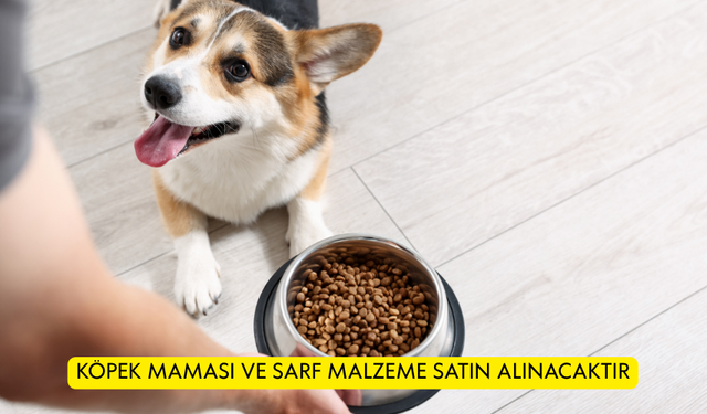 KÖPEK MAMASI VE SARF MALZEME SATIN ALINACAKTIR