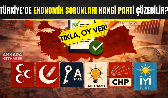 Türkiye'deki ekonomik problemleri sizce hangi parti çözer?