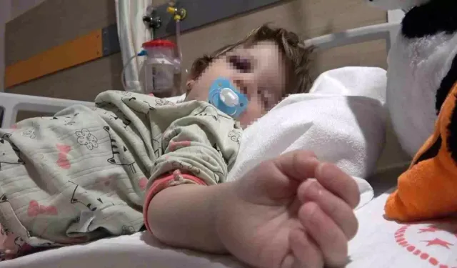 Komşu kavgasında 14 aylık bebeğe saldırdılar! İçişleri Bakanlığı soruşturma başlattı!