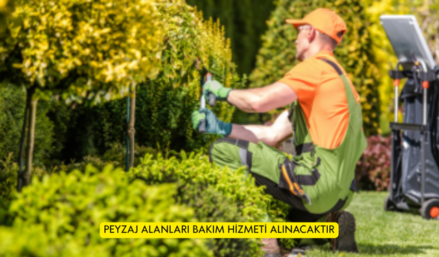 PEYZAJ ALANLARI BAKIM HİZMETİ ALINACAKTIR