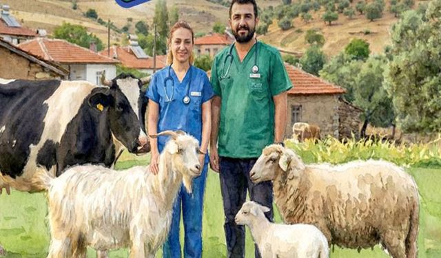 Ankara Büyükşehir’den Türkiye’de bir ilk: Veteriner hekim desteği verilecek!