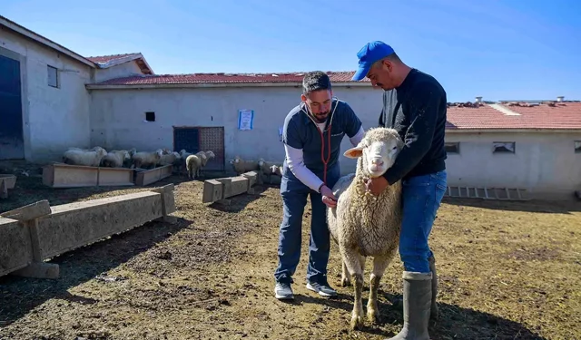 Ankara’da üreticiye can suyu: Veteriner destek başvuruları sürüyor!
