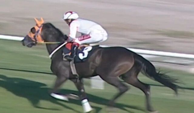 Belediyenin dağıttığı kavurmadan çip çıktı! Yarış atını kesip vatandaşa yedirmişler!