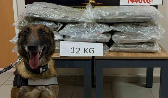 Ankara’ya Getiriliyordu: 12 Kilo Uyuşturucu Yakalandı