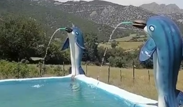 Turhal’da bir vatandaşın köyüne yaptığı havuz ve süs balıkları şaşırttı