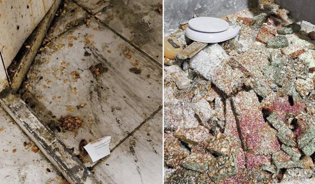 Hatay’da şok baskın: Evden kaçak lokum ve cezerye imalathanesi çıktı