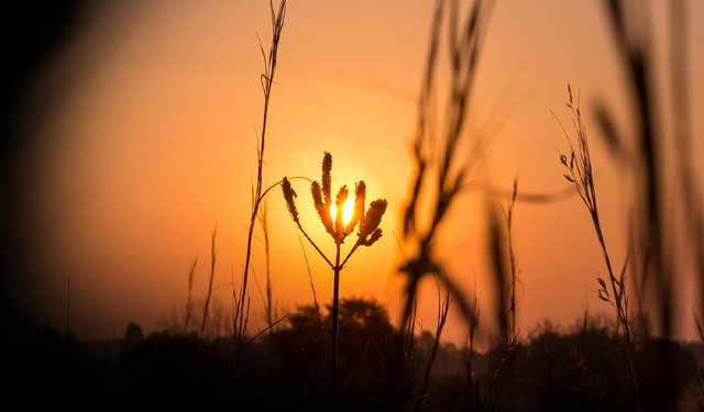 Ankara’da türkü gecesi: “Türkü Deryamızdan” konseri sanatseverleri bekliyor