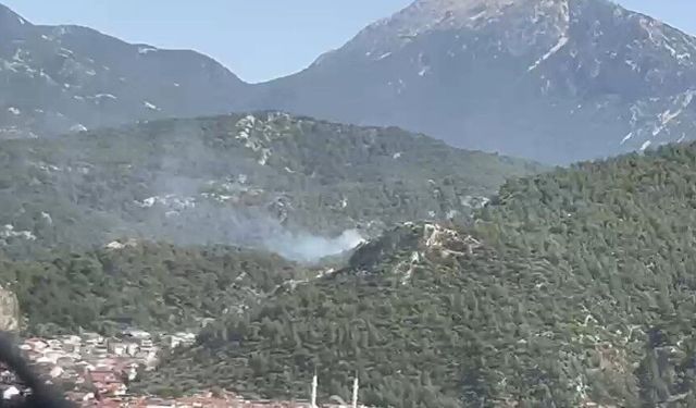 Muğla’da orman yangını!