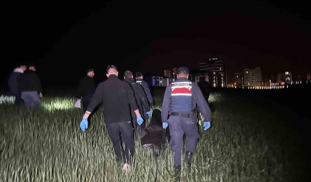 Uşak'ta korkunç olay! Yaşlı adamı tarlada bıçaklayarak öldürdü!