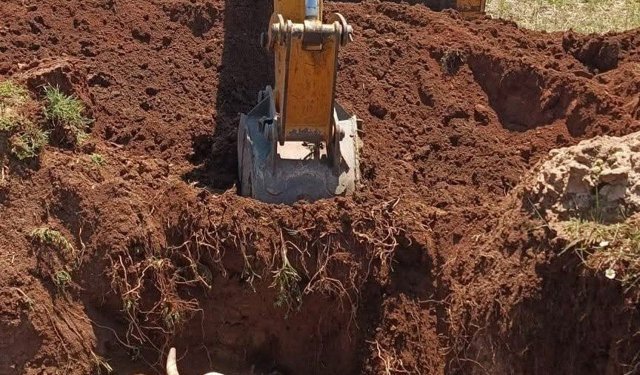 Yozgat’ta çukura düşen inek için seferberlik