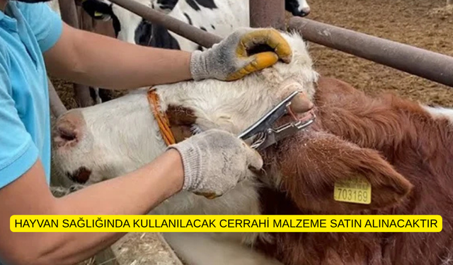 HAYVAN SAĞLIĞINDA KULLANILACAK CERRAHİ MALZEME SATIN ALINACAKTIR